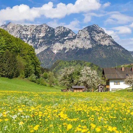 Gaestehaus Anfanglehen Апартаменты *