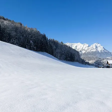 Gaestehaus Anfanglehen *